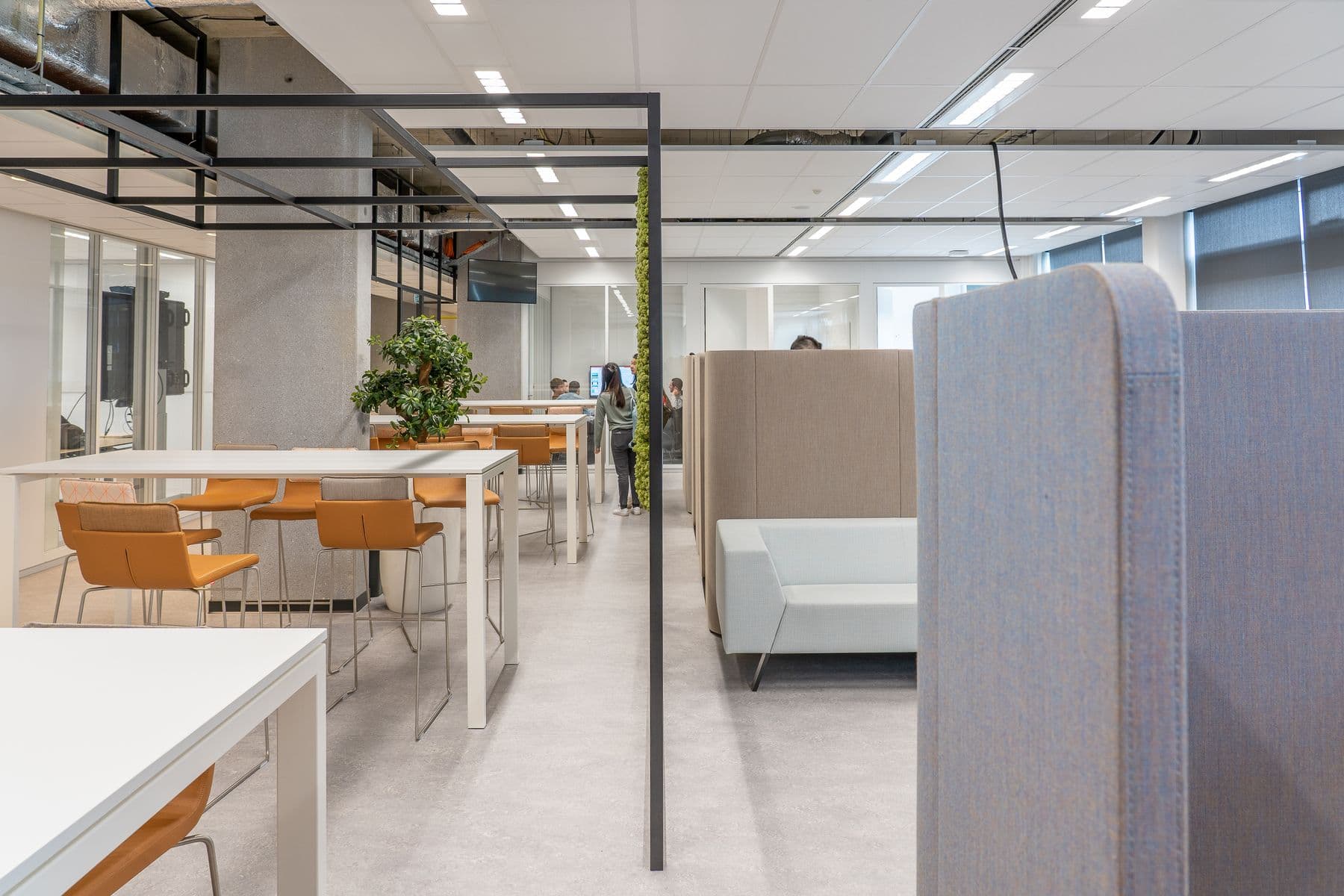 A bright shared office with meeting tables and quiet seating